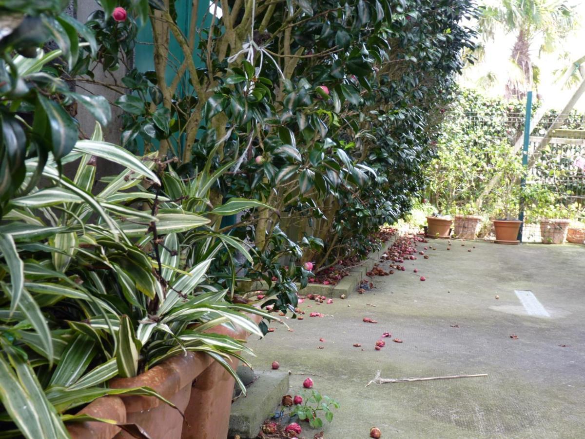 Azores Holidays House -B&B - Suites - Self Check-In Keyboard Ponta Delgada 외부 사진