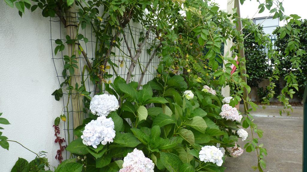 Azores Holidays House -B&B - Suites - Self Check-In Keyboard Ponta Delgada 외부 사진